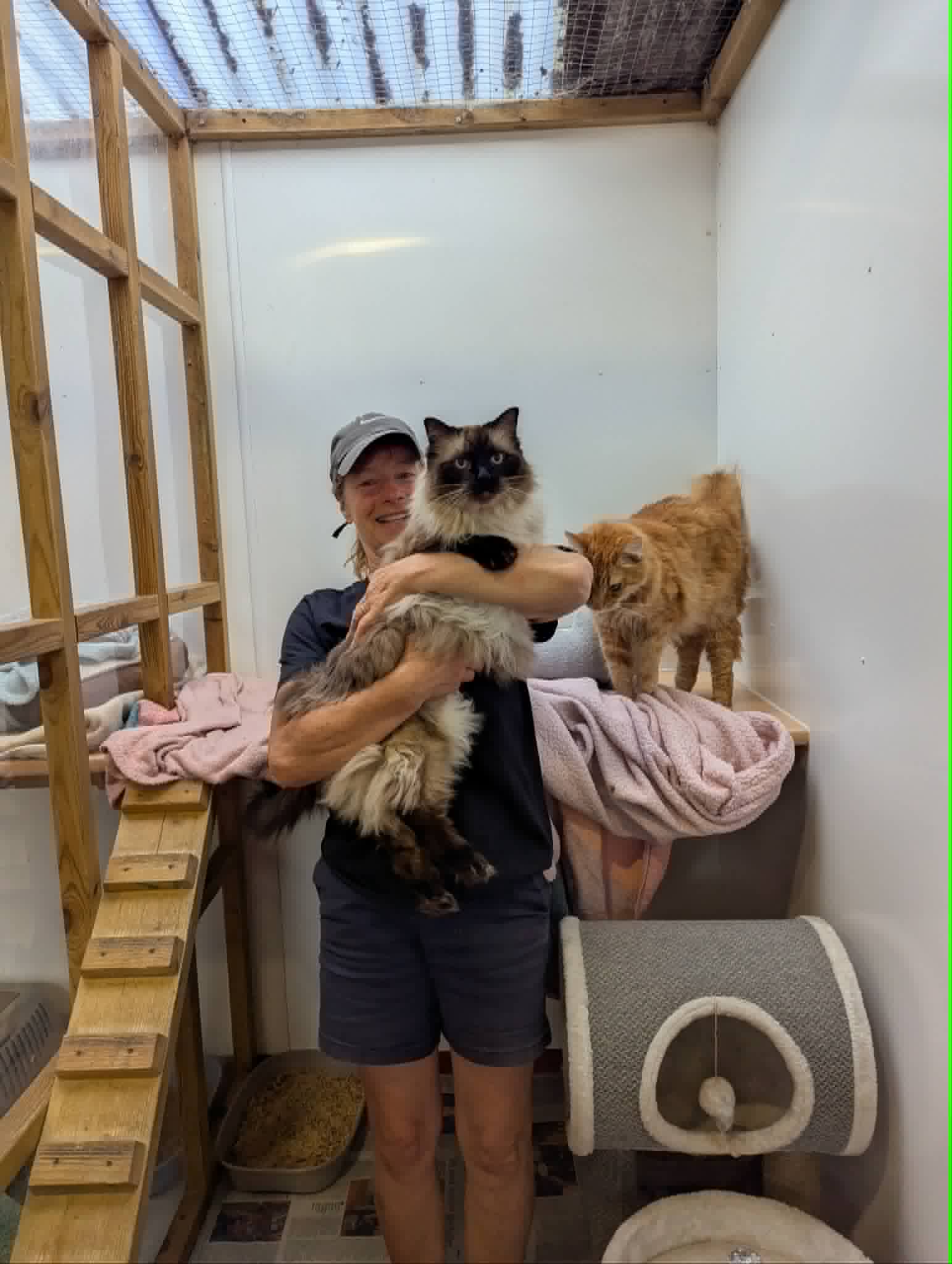 Merryfields cattery owner smiling while holding a long-haired cat in a guest pen